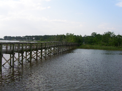 [Side view of boardwalk showing the x pattern of the supports in the water.]